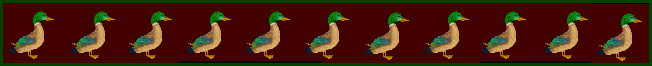 ente_0007