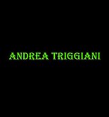 Andrea Triggiani