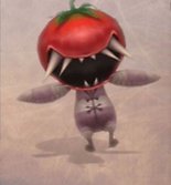 Rogue Tomato