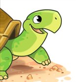 turtle240