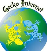 Gecko Cyber