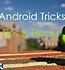 Tomals Guide