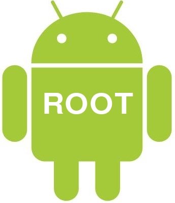 Root