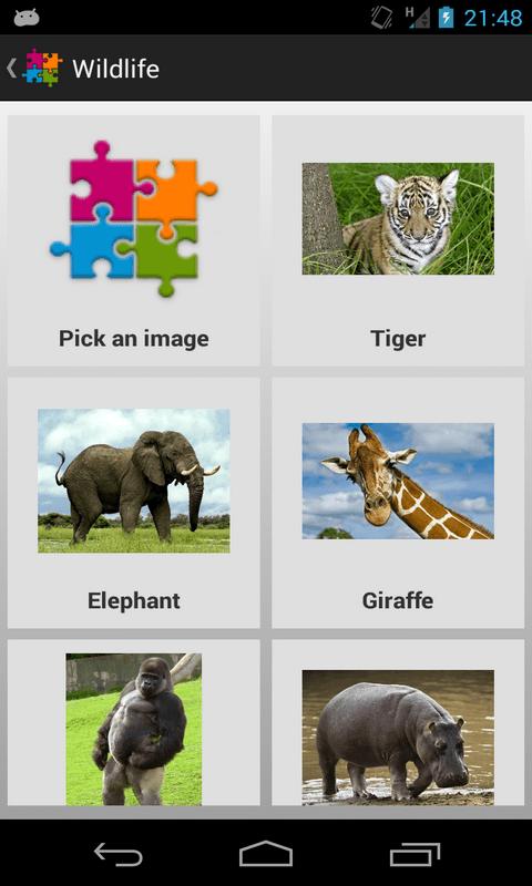 animaux_en 1405331146143