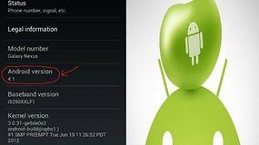 Comment installer Jelly Bean sur votre Galaxy Nexus MAINTENANT