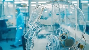 Neuralink Isn’t Alone: Germany Has Entered the Brain Implant Race