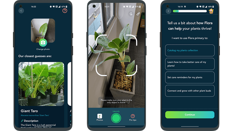 Top 5 Apps of the week: Flora
