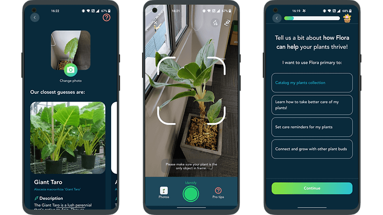 Las 5 mejores apps de la semana: Flora