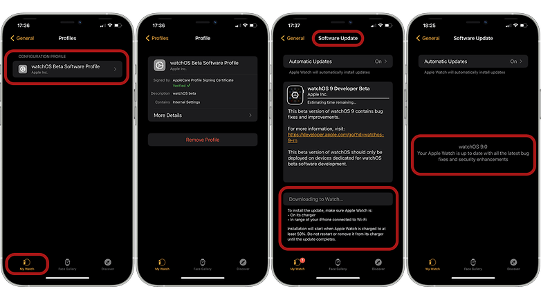 Screenshots showing how to install watchOS 9 developer beta