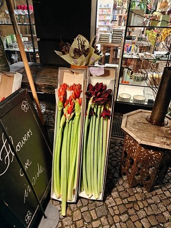 Two boxes of flowers with green stems, red and dark blooms, beside a sign that says 'Flowers are inside.'