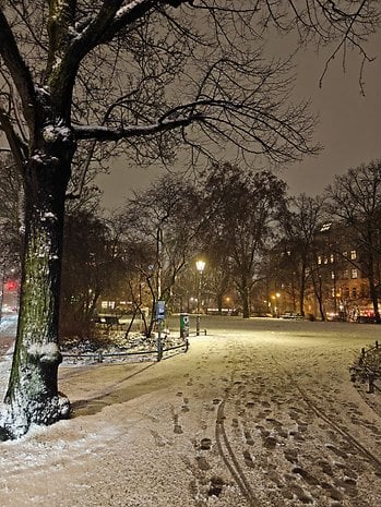 A snowy park at night with trees, street lamps, and footprints in the snow.