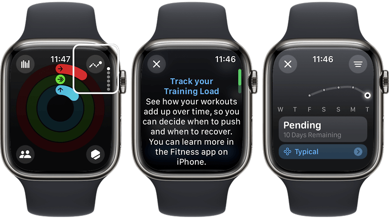 Activity app in the Apple Watch with Training Load icon highlighted