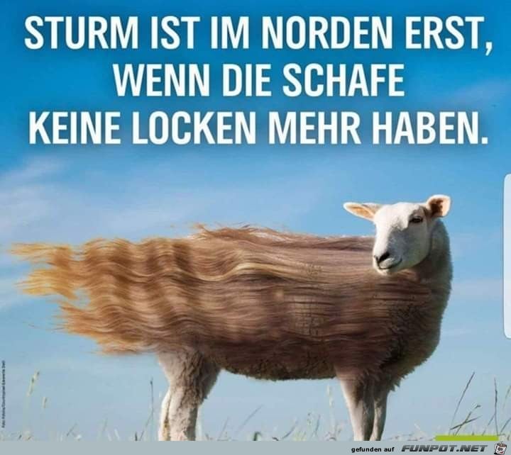 Sturm