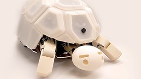 Verhindert diese Roboter-Schildkröte die Rebellion der Maschinen?