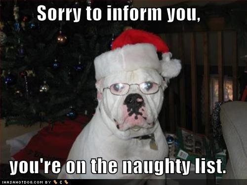 loldogs funny dog pictures sorry to inform you