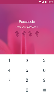 ScreenshotPasscode3