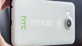 Este deverá ser o visual dos novos Nexus do Google