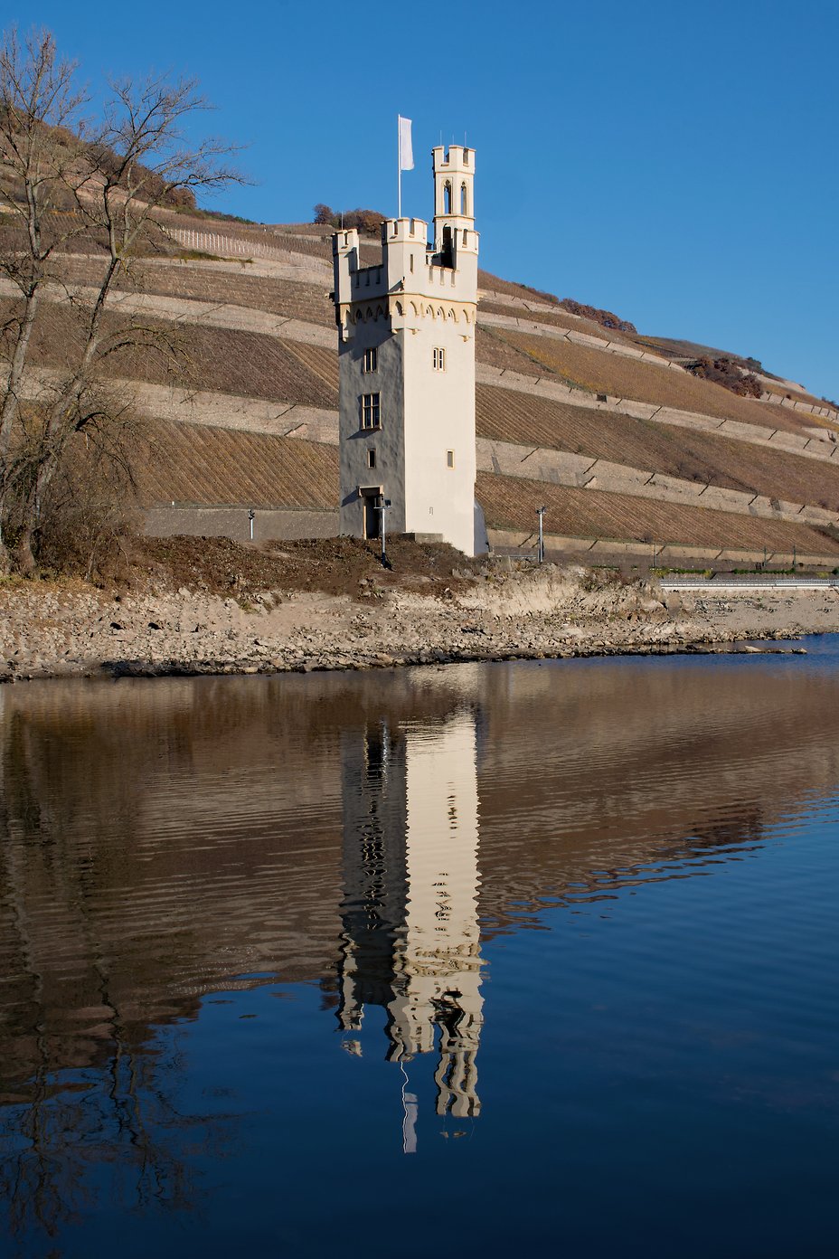 12_Bingen_Maeuseturm