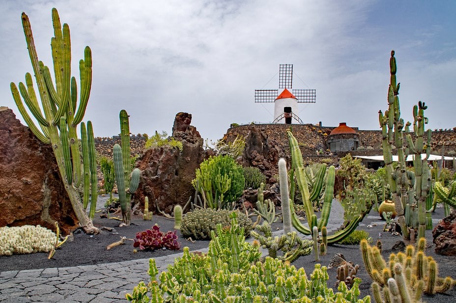 Lanzarote Guatiza45