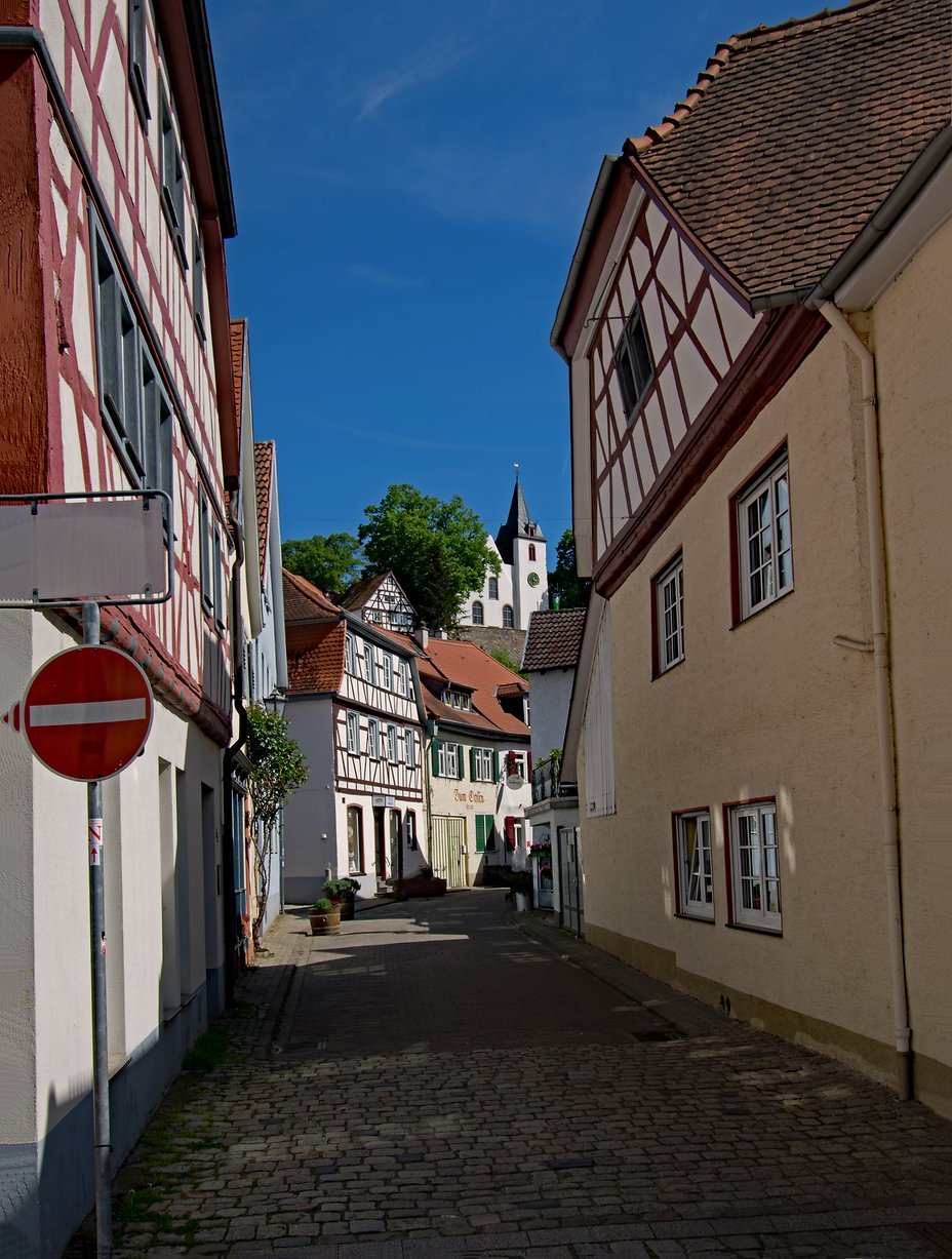 Zwingenberg01