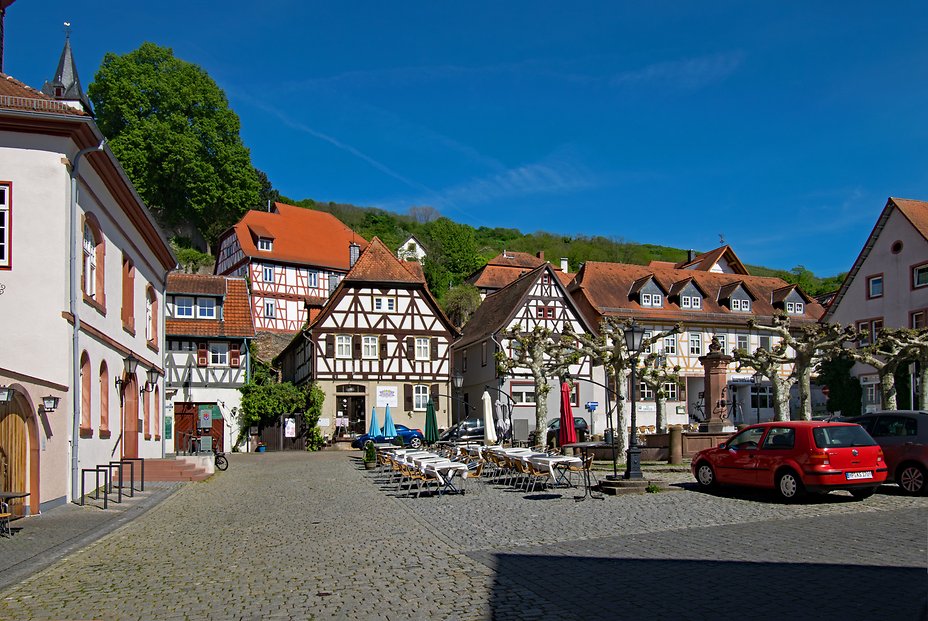 Zwingenberg09