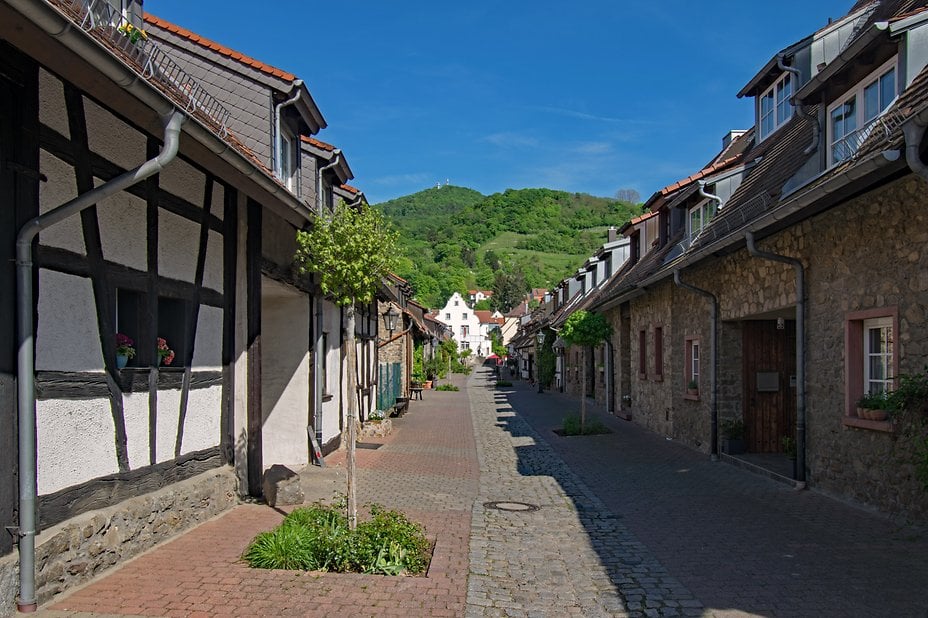 Zwingenberg14