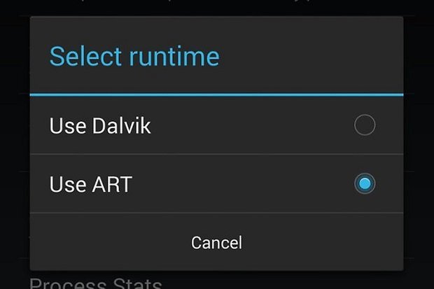 dalvik art