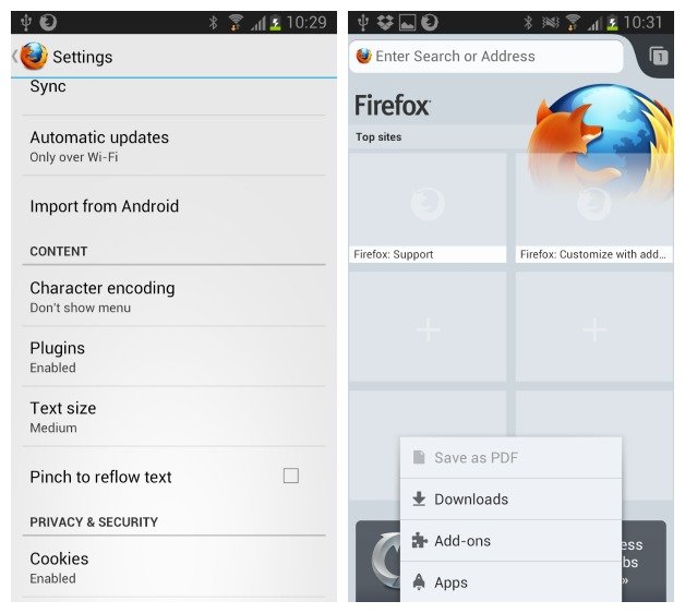 FirefoxFlashPlayer