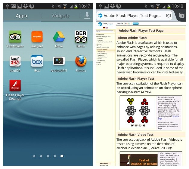 FirefoxFlashPlayer1