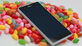 Sony Xperia Devices First to get Android 4.3