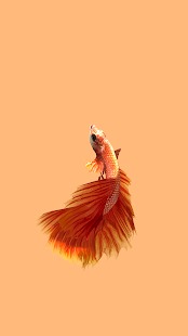 xwcYkHShPxIDip2XGWOdspapS8gAaqu