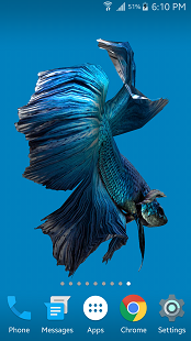 uploadedImage1449392413003