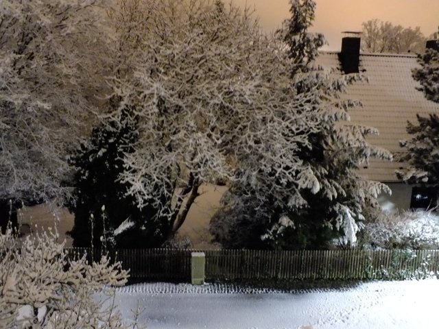 DSCF0108