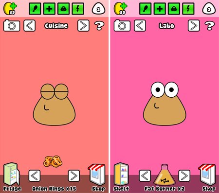 pou cheat