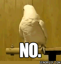 No Parrot Head Shake Reaction Gif