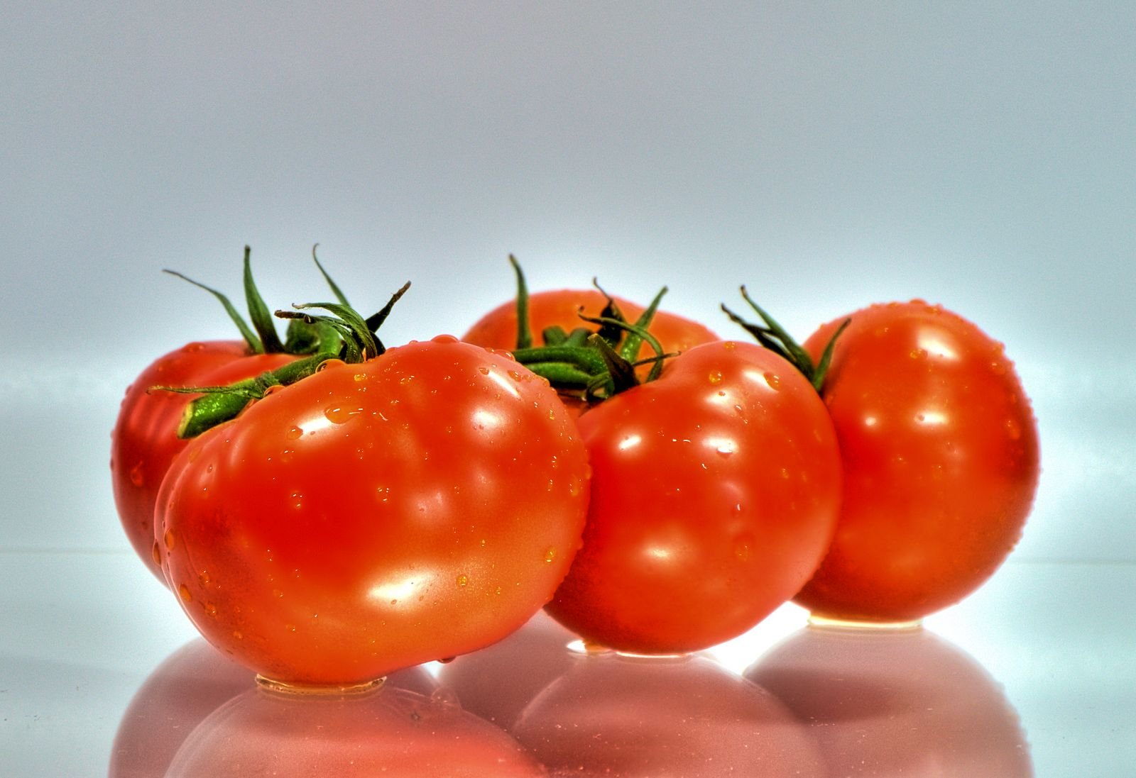 tomaten