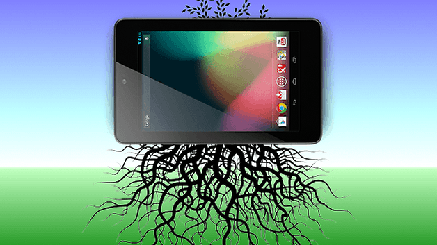 root nexus 7 teaser