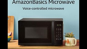 What we learned from the Alexa microwave test