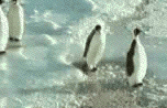 anigif_enhanced buzz 21522 1327086701 23