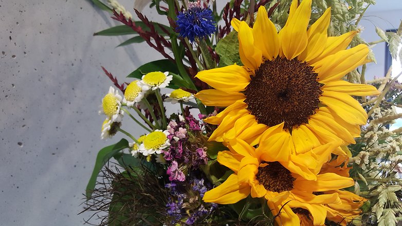 androidpit galaxy s6 camera comparison 10