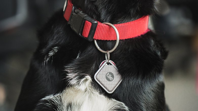 Tracker GPS TILE Collar - tracker pour chien Pas Cher 