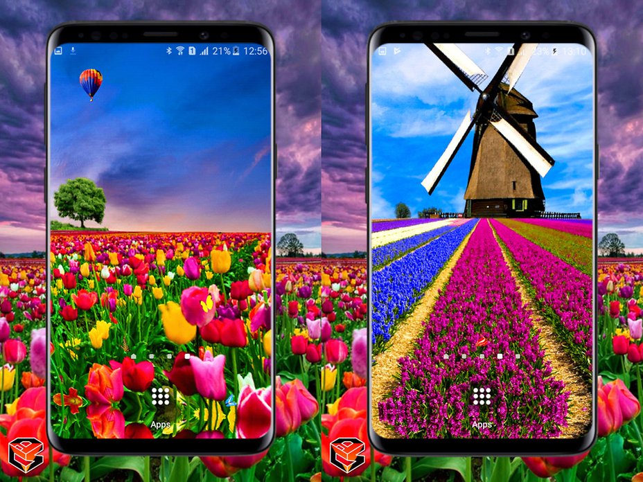 ff_phone_double_0_0