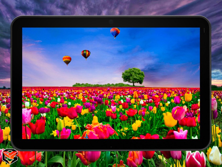 ff_tablet_background_0_1