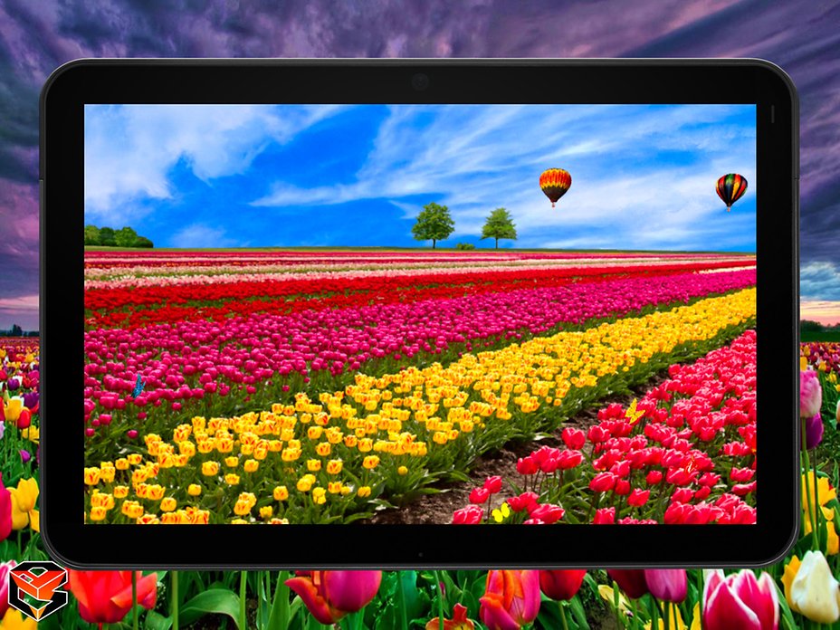 ff_tablet_background_0_5