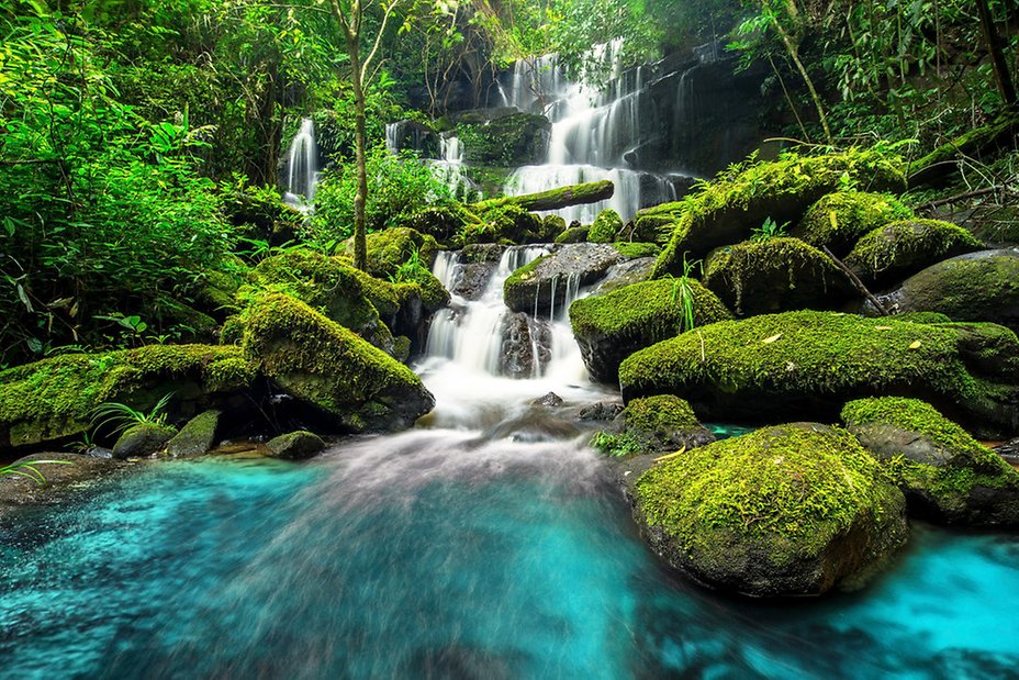 green forest waterfall