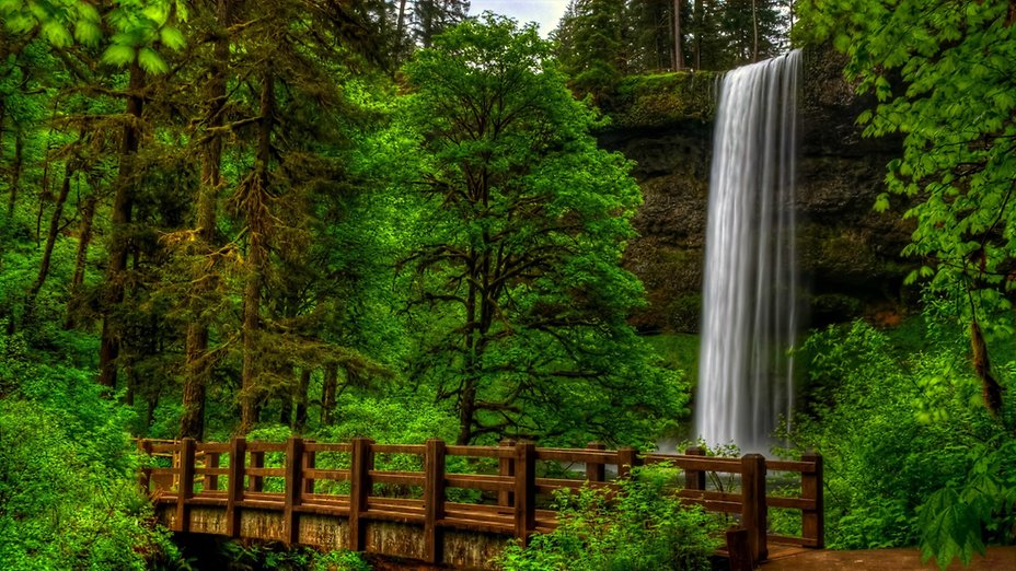 http___www wallpaperbetter com_wallpaper_128_847_730_waterfall in green forest 1080P wallpaper