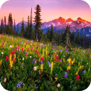 ic_128_mf_free 1550752038000