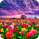 ic_launcher_ff_free
