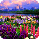 ic_launcher_vof_free