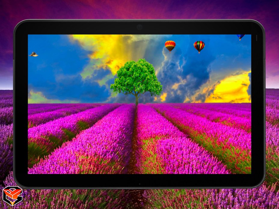lf_tablet_background_0_1